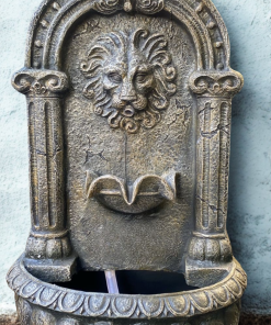 Fuente de agua leon
